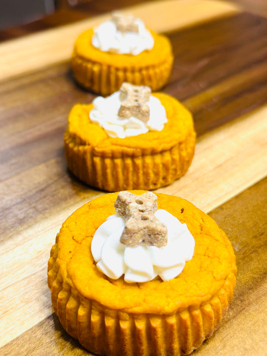 Pumpkin Pawty PupCake